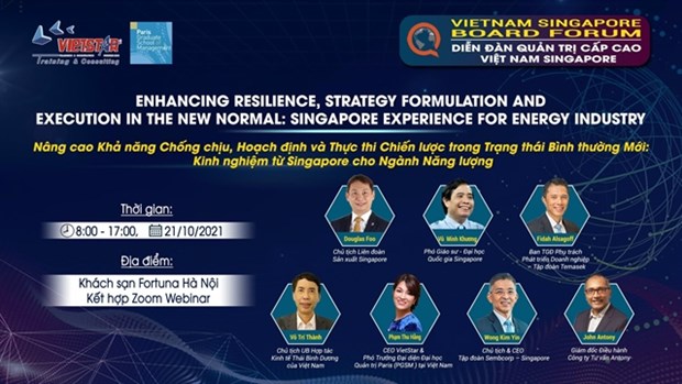Hanoi to host Vietnam - Singapore forum for senior leaders in energy industry hinh anh 1