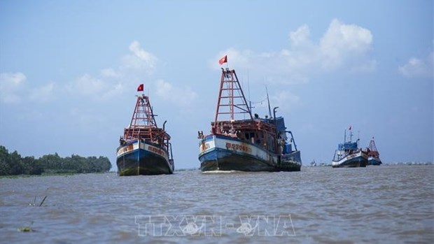 Vietnam’s border guards take tougher actions against IUU fishing hinh anh 1