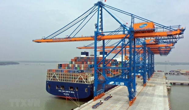 Volume of goods through seaports reach double-digit growth hinh anh 1