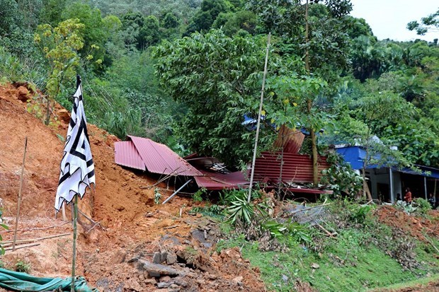 Heavy rains, floods leave eight dead, injured, missing hinh anh 1