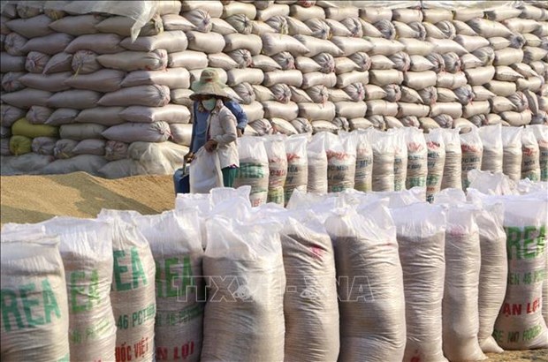 136,000 tonnes of rice allocated to pandemic-hit localities hinh anh 1