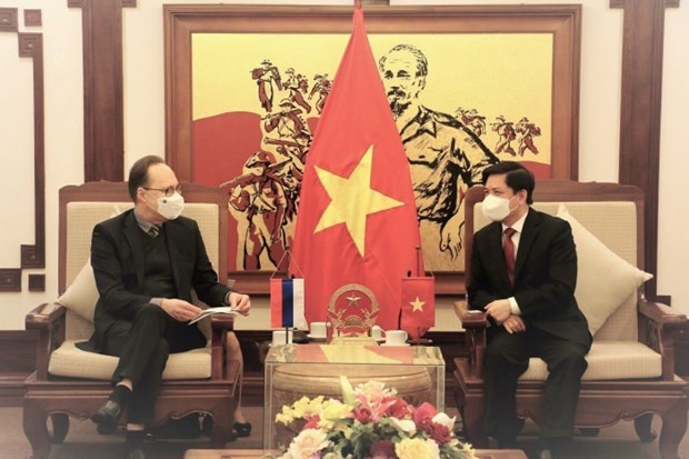 Vietnam, Russia boost transport ties hinh anh 1