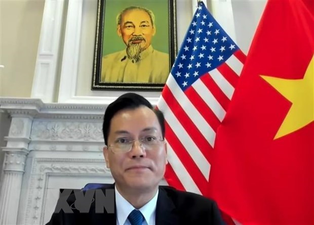 Vietnam welcomes US’s practical assistance for Mekong nations: ambassador hinh anh 1