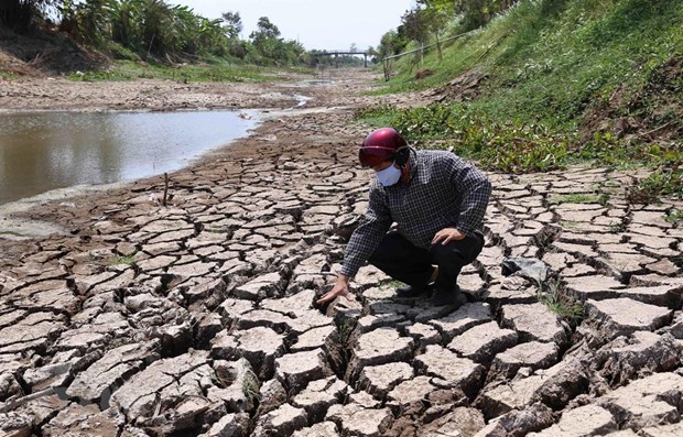 Vietnam seeks technical cooperation to fight climate change hinh anh 1