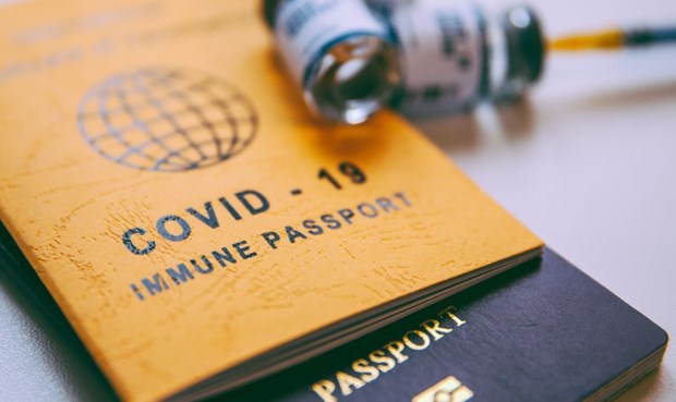 Vietnam recognises vaccine passports of 72 countries, territories hinh anh 1