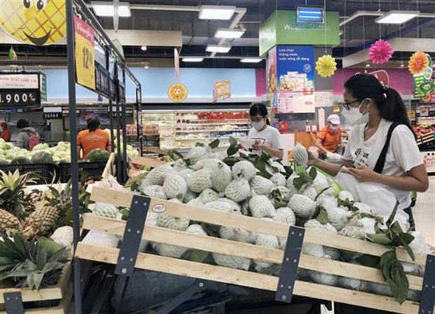 HCM City: 85.7 percent of firms hit by COVID-19 hinh anh 1