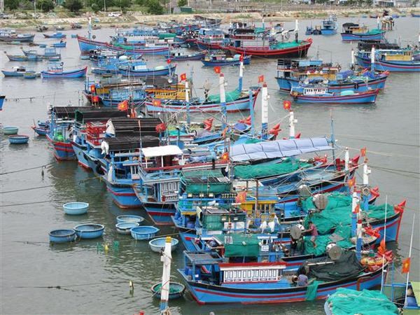 Kien Giang fishermen receive support to resume operations hinh anh 2