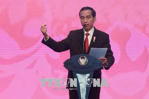 Indonesia hopes ASEAN will become pioneer of regional stability hinh anh 1