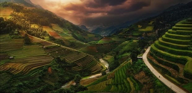 Picture of Vietnamese rice terraces enters prestigious photography contest hinh anh 1