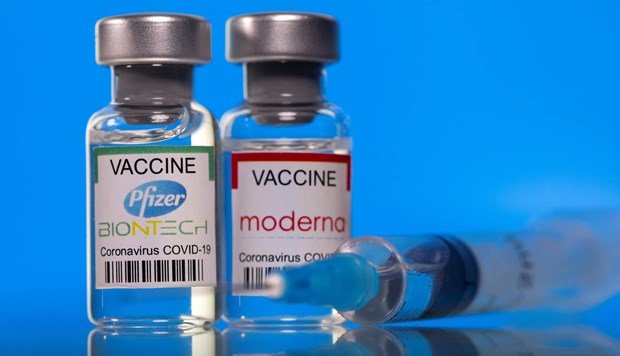 Ministry licences Pfizer, Moderna vaccines for inoculation of children hinh anh 1
