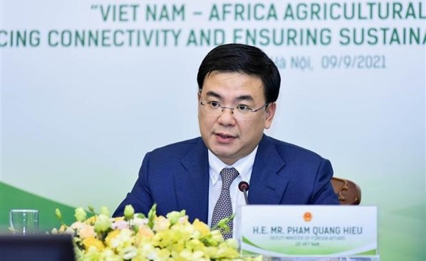 Plenty of room for Vietnam-Africa partnership to thrive: Deputy Foreign Minister hinh anh 1
