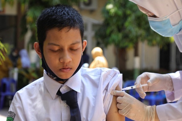 Indonesia approves Sinovac vaccine for children aged 6-11 hinh anh 1