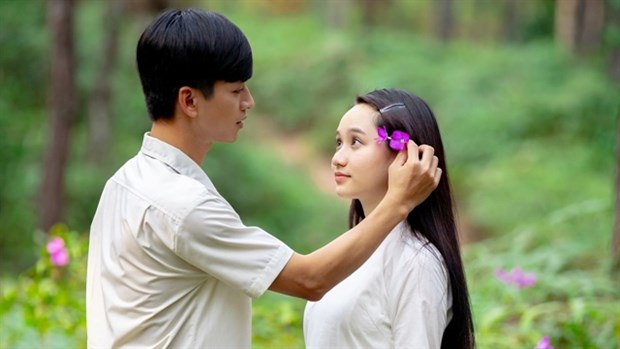 Vietnamese film week to feature outstanding works hinh anh 1
