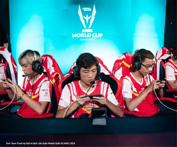E-sports opens up opportunities for brand collaborations: insiders hinh anh 1