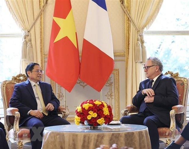 Vietnam, France issue joint statement hinh anh 2