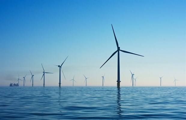 Danish Group to invest up to 13.6 billion USD in offshore wind farm in Hai Phong hinh anh 1