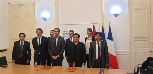 Vietnam boosts fisheries cooperation with France, promotes agricultural potential hinh anh 1