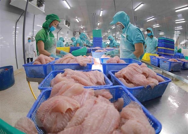Fisheries sector sees recovery signs in October hinh anh 1