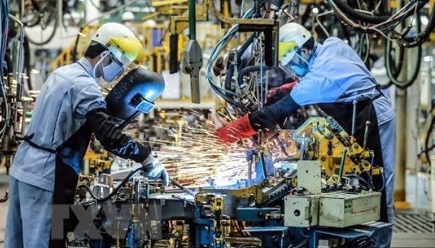 European firms optimistic about Vietnam's business environment after social distancing hinh anh 1
