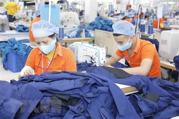 Insiders put trust in Vietnam’s economic recovery hinh anh 1