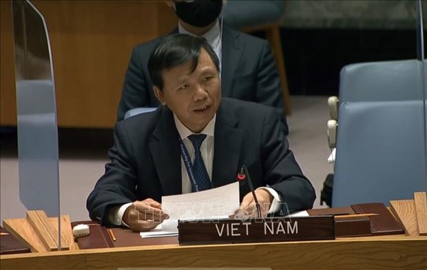Vietnam calls for addressing underlying root causes of conflicts hinh anh 2