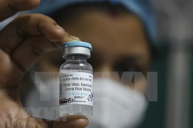Ministry approves Indian Covaxin COVID-19 vaccine hinh anh 1
