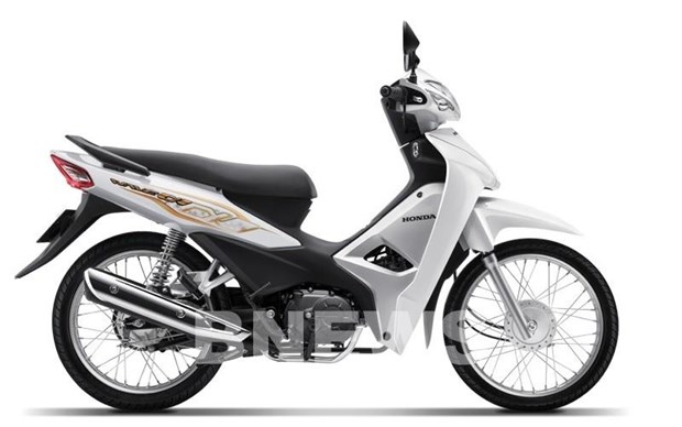 Honda Vietnam sees sharp increases in auto and motorbike sales last month hinh anh 1