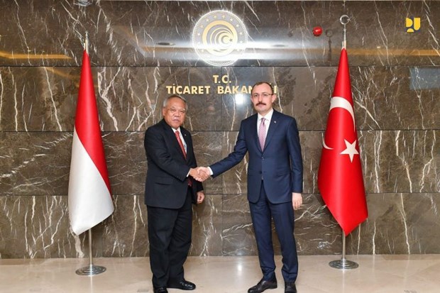 Indonesia calls on Turkish firms to invest in infrastructure sector hinh anh 1