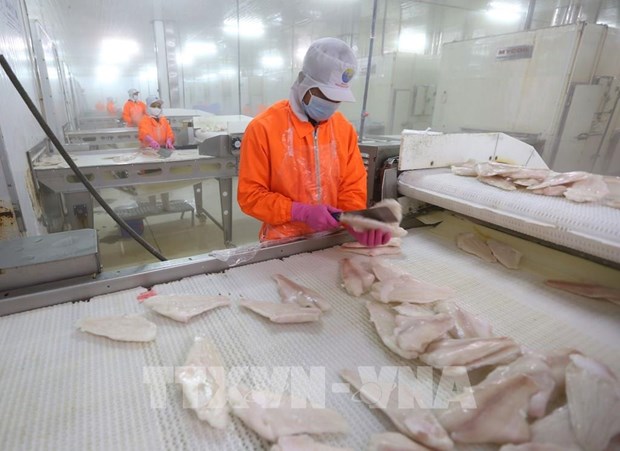 Over 84 percent of production firms in Can Tho resume operations hinh anh 1
