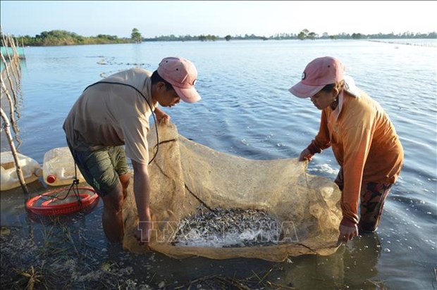 Results of flood-based livelihood project in Mekong Delta reviewed hinh anh 1