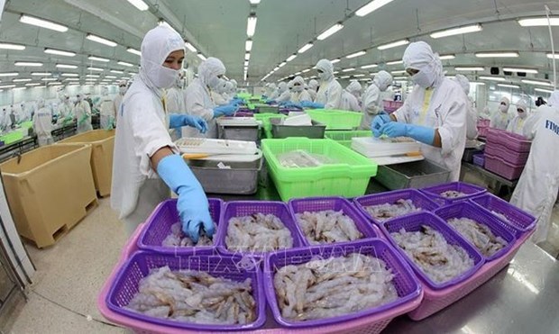 Shrimp industry strives to remain big foreign currency earner hinh anh 1
