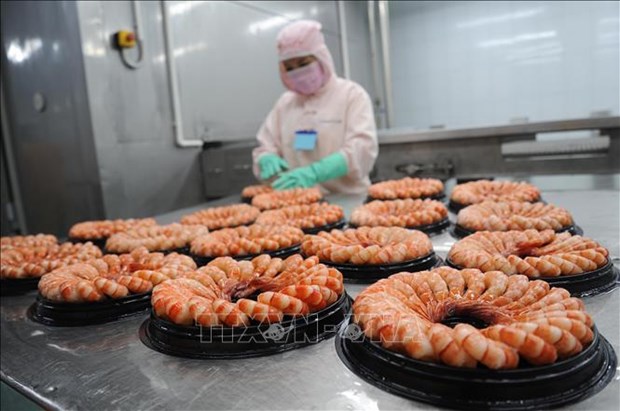 Shrimp industry strives to remain big foreign currency earner hinh anh 2