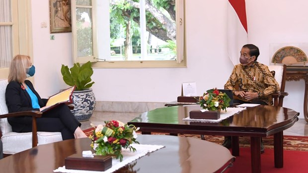 Indonesia, UK discuss strategic economic cooperation hinh anh 1