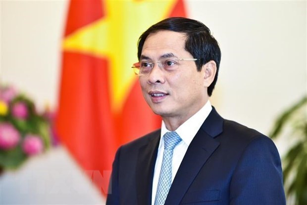 Minister: Vietnam’s re-election at ILC proves international community’s trust hinh anh 1