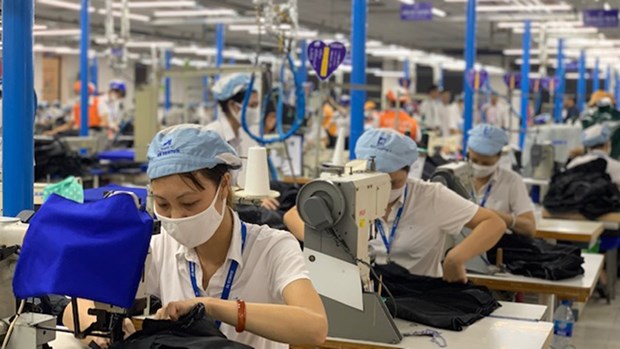 Job opportunities introduced to pandemic-affected labourers in HCM City hinh anh 1
