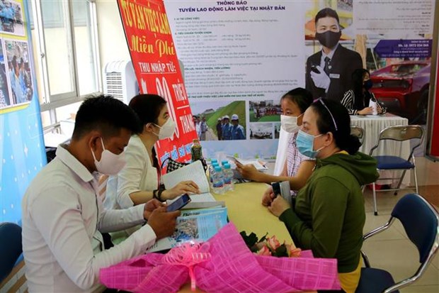 Job opportunities introduced to pandemic-affected labourers in HCM City hinh anh 2