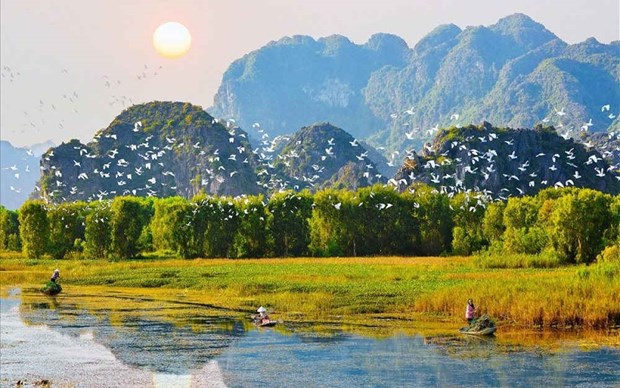 Webinar discusses solutions to ecosystem restoration in Vietnam hinh anh 1