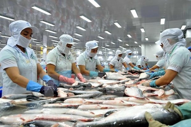 Brazil market offers big opportunities for Vietnamese tra fish hinh anh 1