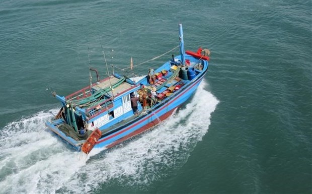 Ben Tre cracks down on fishing vessels violating foreign waters hinh anh 1