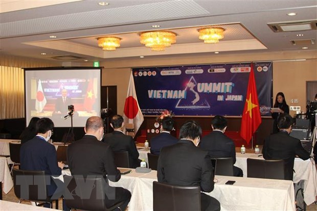 Vietnamese intellectuals in Japan share ideas for post-pandemic development hinh anh 1