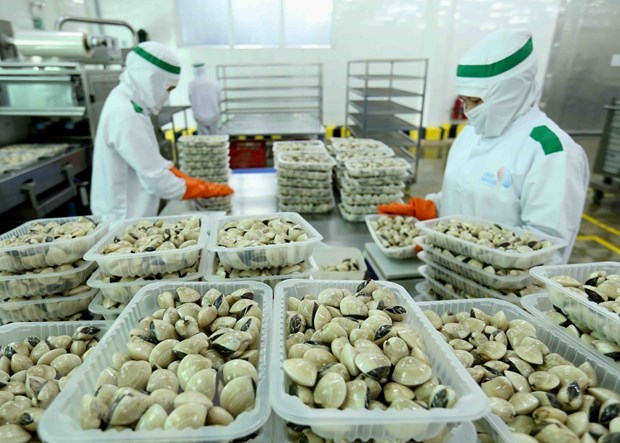 Businesses advised to avoid basic mistakes when exporting farm produce to EU hinh anh 1