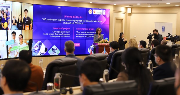 Initiative supports businesses to address social, gendered impacts of COVID-19 hinh anh 1