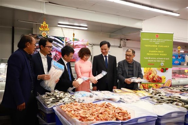 Vietnam seeks to beef up trade, investment ties with Australia hinh anh 1