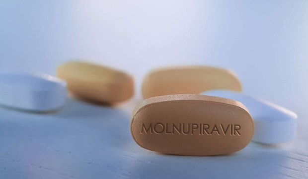 Vietnam able to produce COVID-19 treatment drug Molnupiravir hinh anh 1