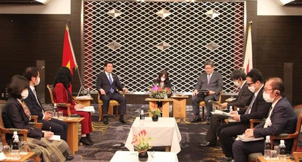 Japan regards Vietnam as a leading partner: Minister hinh anh 1
