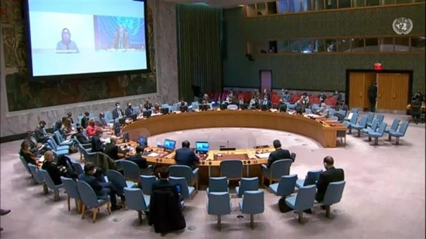 Vietnam supports reform of UN Security Council hinh anh 2