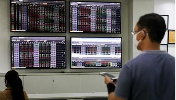 Stock market hits new records this week hinh anh 1
