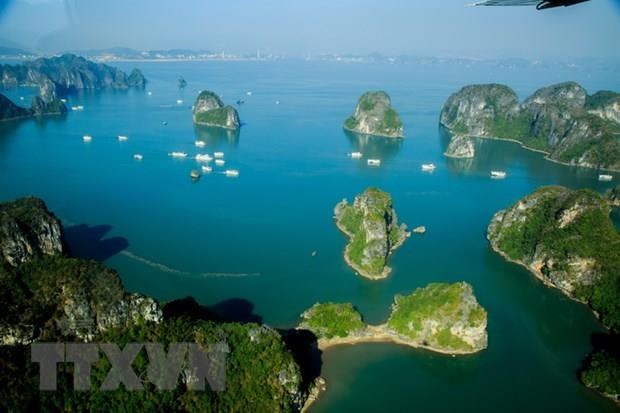Better environment protection in Ha Long Bay urged for sustainable tourism hinh anh 1