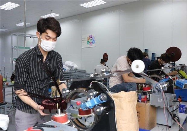 Newly established enterprises increase 44.6 percent in November hinh anh 1