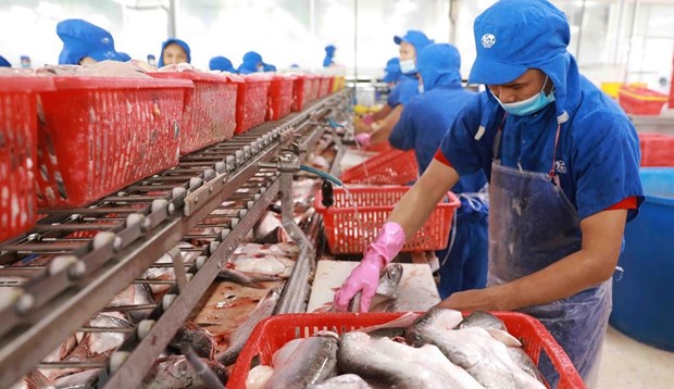 Room for Vietnam's seafood exports to Canada remains large hinh anh 1